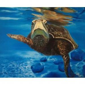 Sea Turtle Spectacle 12" X..