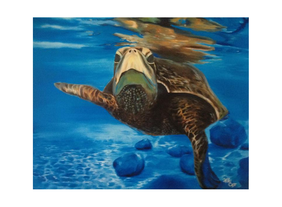 Sea Turtle Spectacle 12" X 18" Print Of Original Oil Painting